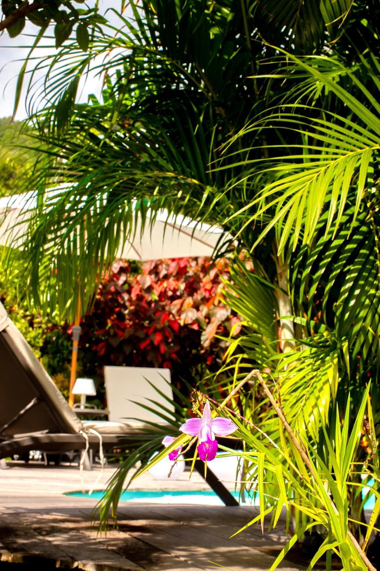 La Villa Baie Du Marin Le Marin Экстерьер фото